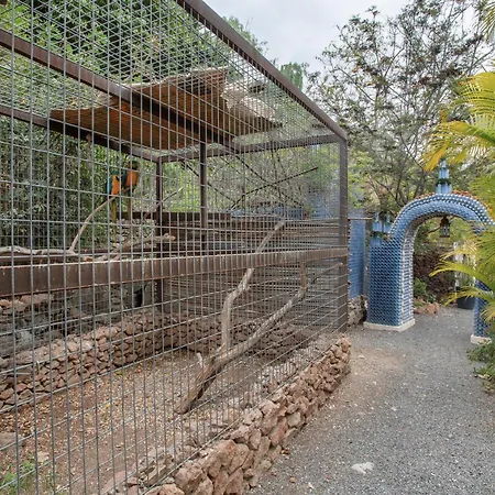 Villa Montecristo De Gran Canaria Vv