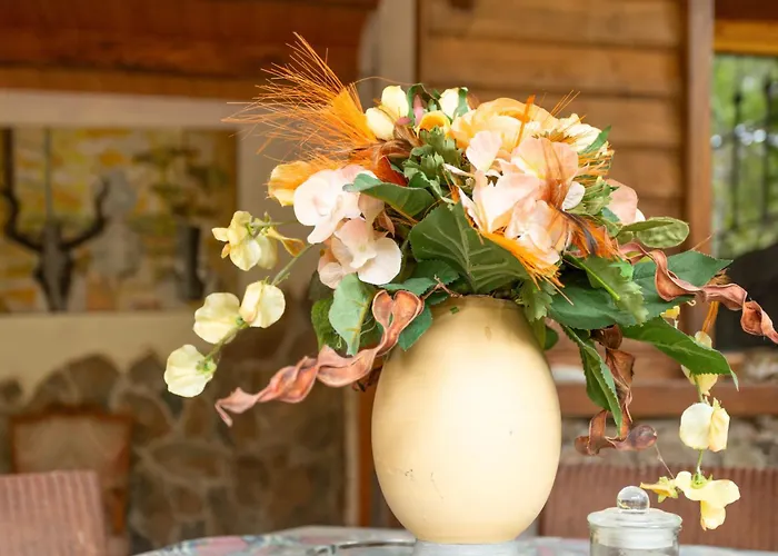 Montecristo De Gran Canaria Vv * San Bartolomé